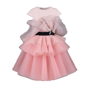 Dragonfly dress